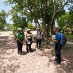 Prestadores de servicios turísticos participan en una capacitación de turismo de naturaleza en Celestún, Yucatán