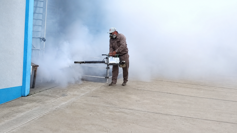 Yucatán intensifica la prevención contra dengue, chikungunya y zika