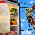 Alimentos afectados por falta de refrigeración junto a trabajador que realiza labores en una red eléctrica.